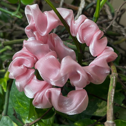 Pair of Scrunchies